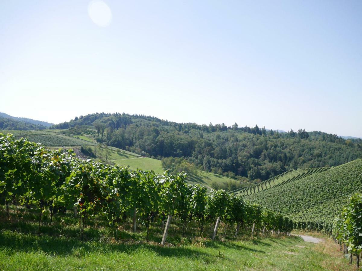 Ferienwohnung Kirschbluete Mosbach  Luaran gambar